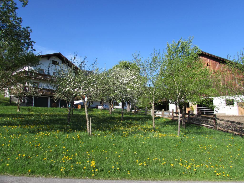 Ferienhof Breitenbaumer Spital Am Pyhrn Luaran gambar